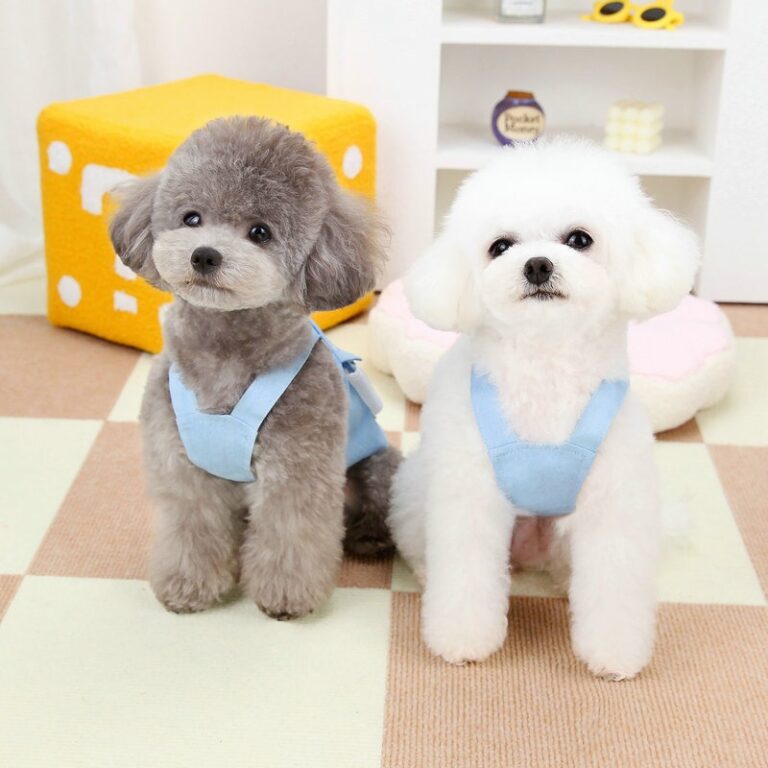 2024 spring-summer pet clothes set for small dogs, princess dress and overalls