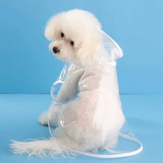 Transparent waterproof dog raincoat for small to large pets
