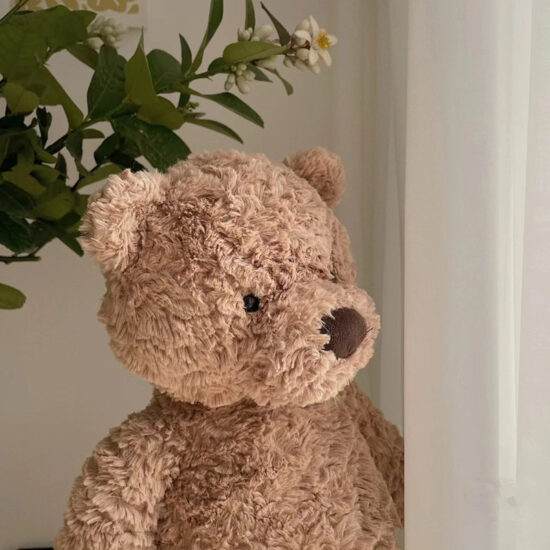 Barcelona Teddy Bear Plush – Wedding Tossing Stuffed Animal Toy

