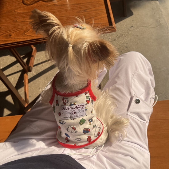 Breathable summer vest for small dogs, anti-shedding tank top for Teddy and Pomeranian