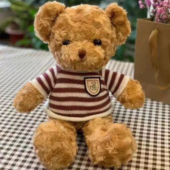 Colorful teddy bear plush toy with hoodie – soft stuffed doll for kids and gifts