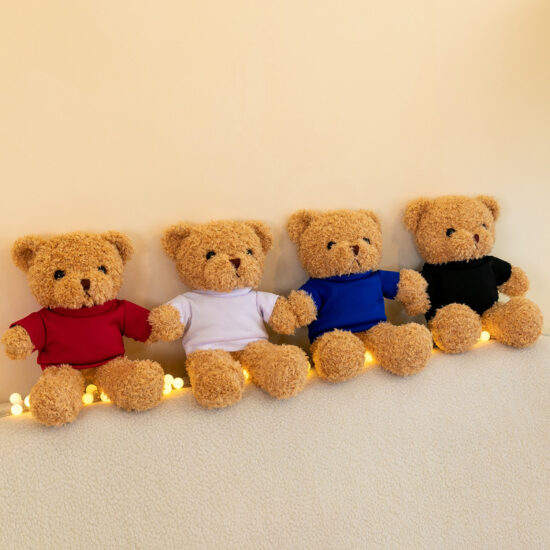 Custom Teddy Bear Plush Toy with Printed T-Shirt for Events and Promotions