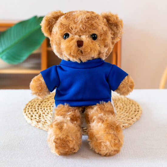 Custom Teddy Bear Plush Toy with Printed T-Shirt for Events and Promotions