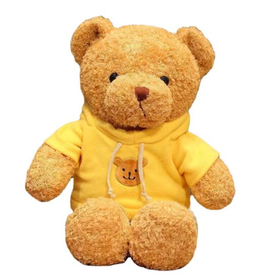Custom Teddy Bear Plush Toy in Sweater with Gift Box – Logo Printed for Events & Promotions