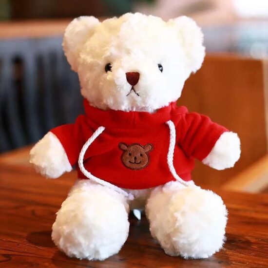 Custom Teddy Bear Plush Toy in Sweater with Gift Box – Logo Printed for Events & Promotions