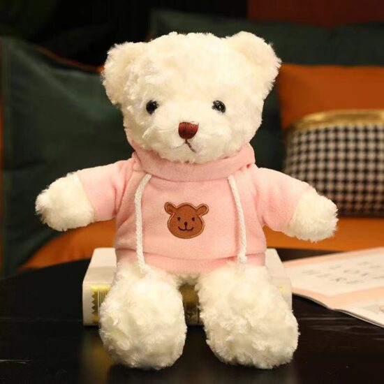 Custom Teddy Bear Plush Toy in Sweater with Gift Box – Logo Printed for Events & Promotions