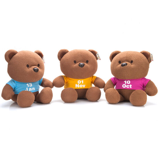 Custom Plush Teddy Bear Keychain with Chinese Surname and Logo Printing