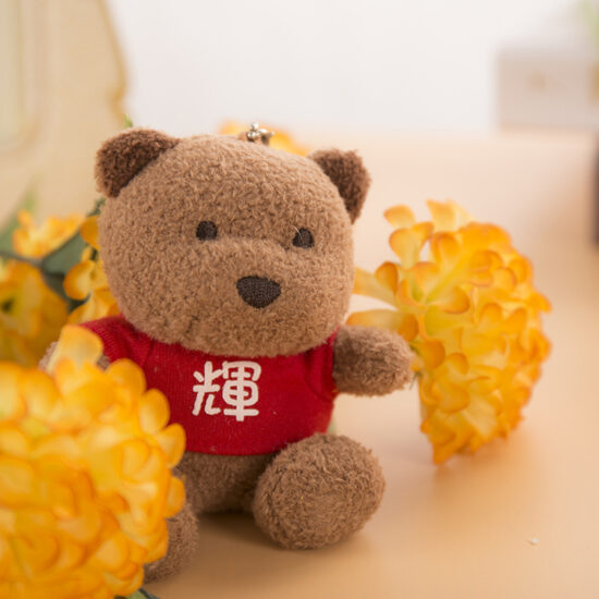 Custom Plush Teddy Bear Keychain with Chinese Surname and Logo Printing