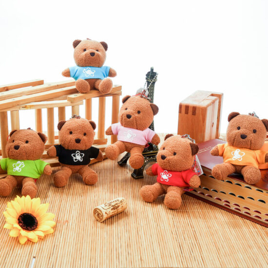 Custom Plush Teddy Bear Keychain with Chinese Surname and Logo Printing