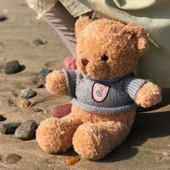 Soft dressed teddy bear plush toy for kids and gifts

