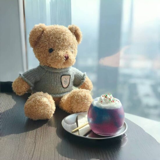 Soft dressed teddy bear plush toy for kids and gifts