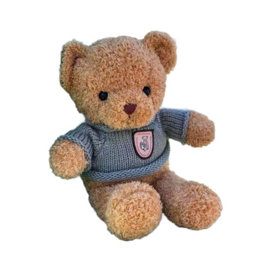 Soft dressed teddy bear plush toy for kids and gifts
