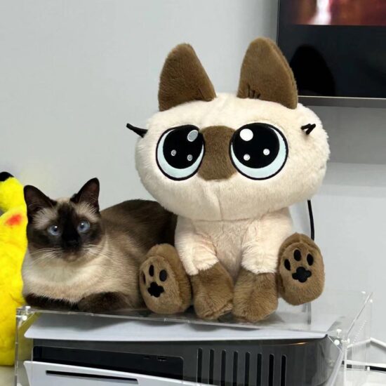Siamese cat plush doll sitting cutely, anime-style kitten toy