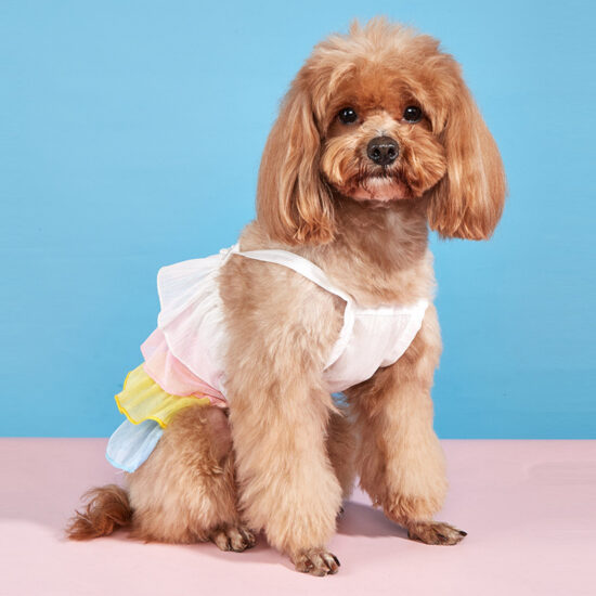 All-season cute mesh dog dress for small pets with tulle skirt and straps