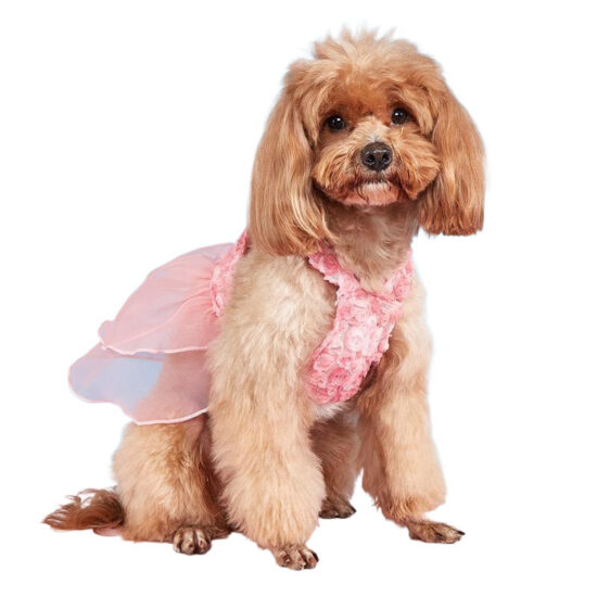 All-season cute mesh dog dress for small pets with tulle skirt and straps