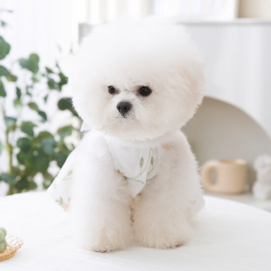 Small dog floral lace princess dress – breathable pet outfit for spring and summer