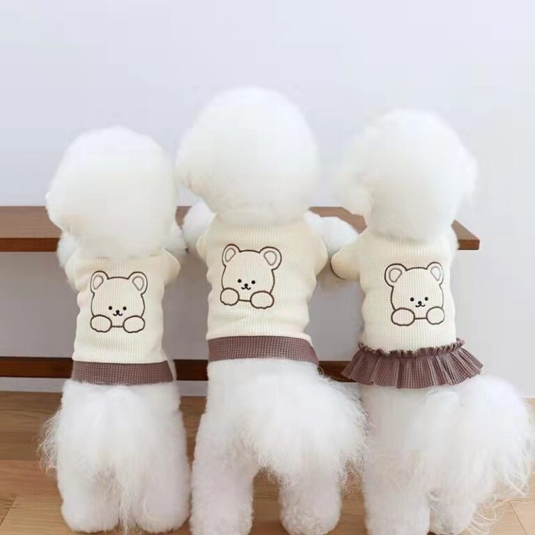 Korean-style matching dog and cat outfits with cute bear print