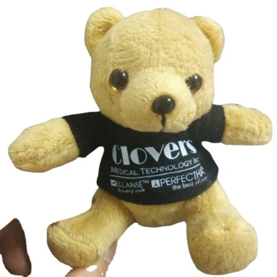Mini McDonald’s Outfit Teddy Bear Keychain – Plush Toy Bag Charm with Custom Logo Option


