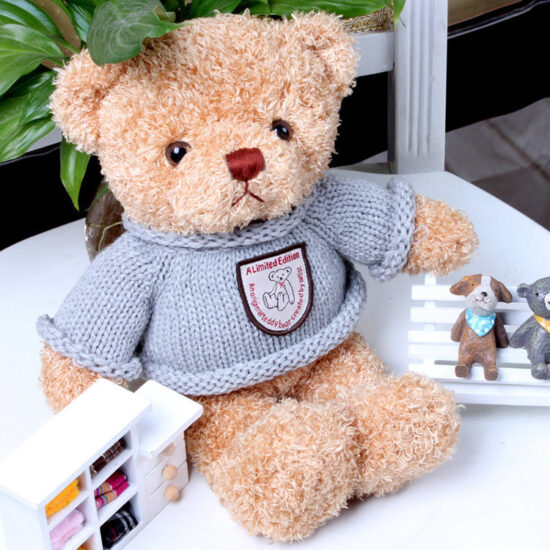 Recording teddy bear plush toy with sweater – romantic gift bear for couples