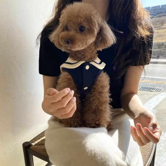 Small dog wearing lace maid dress with leash hole