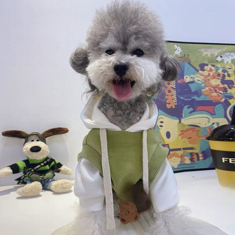 Small dog wearing trendy anti-shedding spring summer pet clothes
