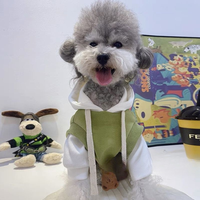 Small dog wearing trendy anti-shedding spring summer pet clothes