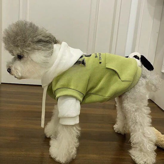 Small dog wearing trendy anti-shedding spring summer pet clothes