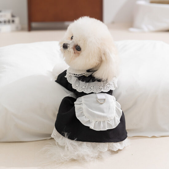 Small dog wearing maid-style pet lace dress with leash attachment