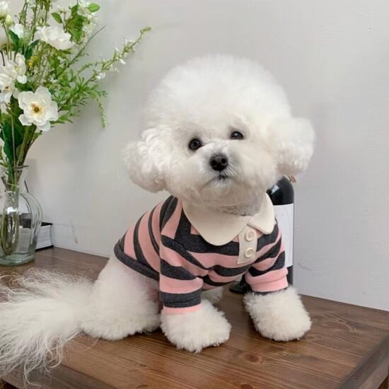 Striped polo shirt for small dogs and cats, lightweight spring-autumn pet clothes