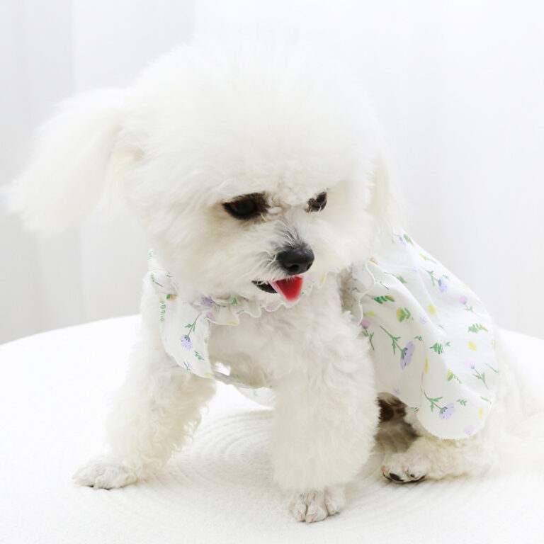 Lightweight floral dog dress with leash ring for small pets in summer