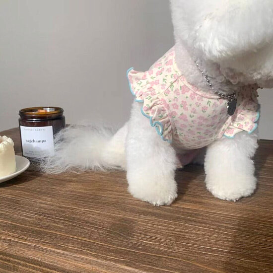 Small dog wearing summer lightweight pet clothes