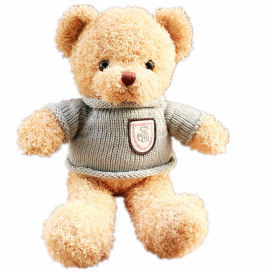 Talking Recording Teddy Bear Plush Gift for Girls