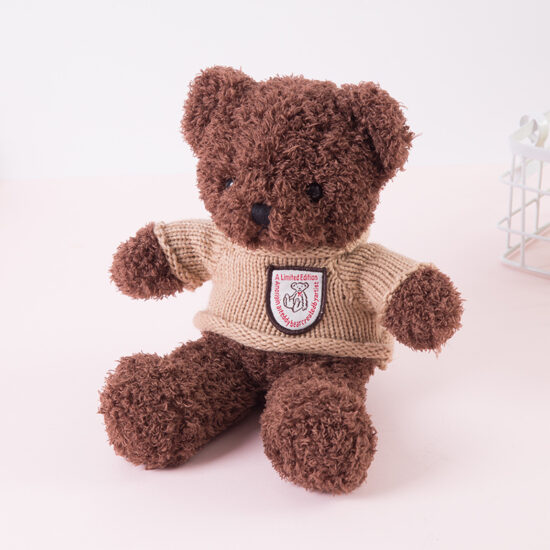 Talking Recording Teddy Bear Plush Gift for Girls