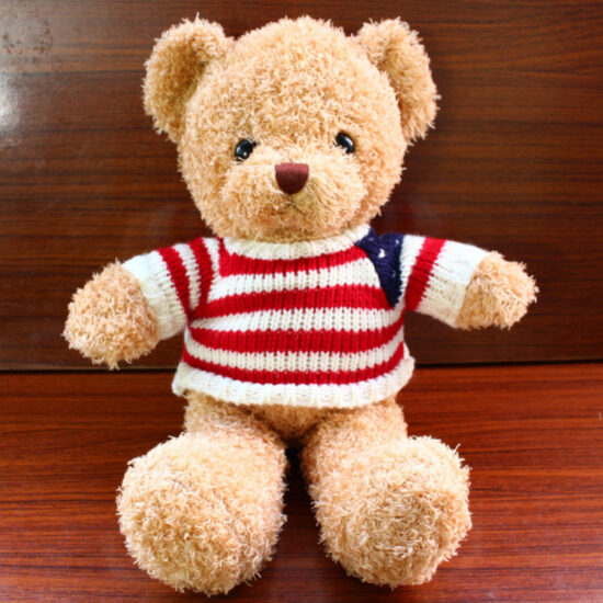 Talking Recording Teddy Bear Plush Gift for Girls